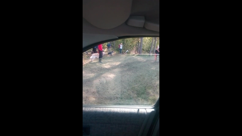 выдержка на раздражители