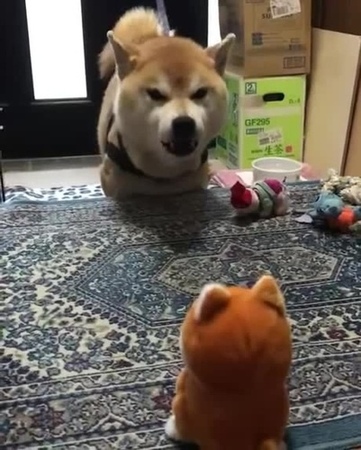Разговор умных людей.