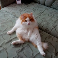Наталия Швецова