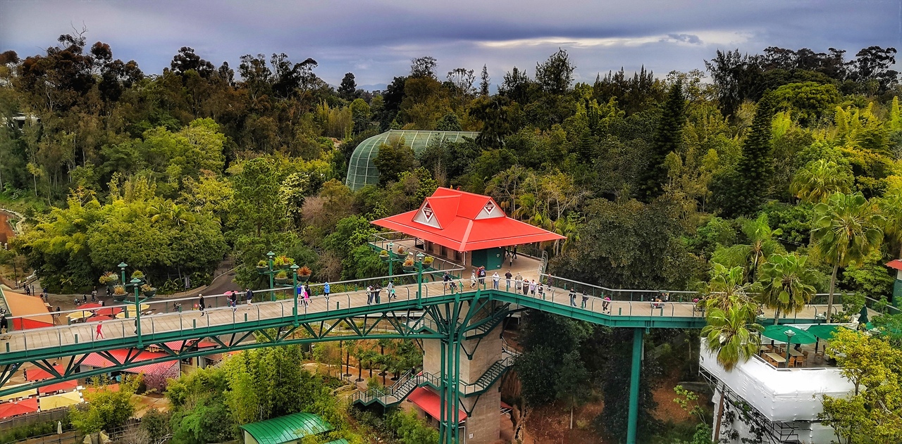 Ударим автопробегом по дикому западу! USA 2019 7-25 марта.