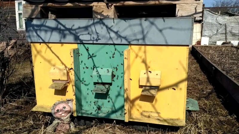 облет 09 04 2018г.