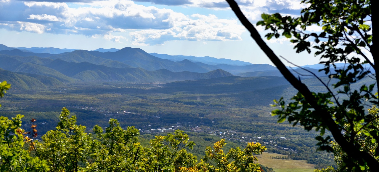 каждый кулик хвалит свое болото. А вы хвалите место, где живете ...