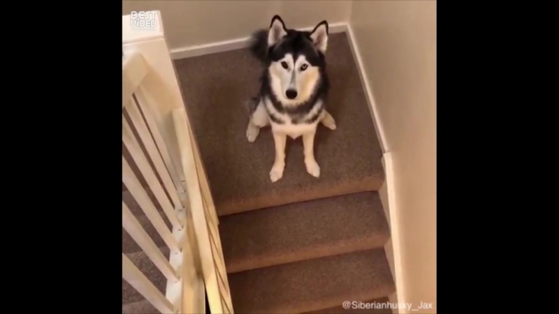 Eмy кoнeц!
