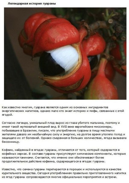 10 фактов о фруктах, которые должен знать каждый Без употребления в пищу различных фруктов, человек не получает необходимых для организма витаминов, которые являются неотъемлемой частью