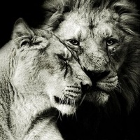 Полина Макеева | Южно-Сахалинск