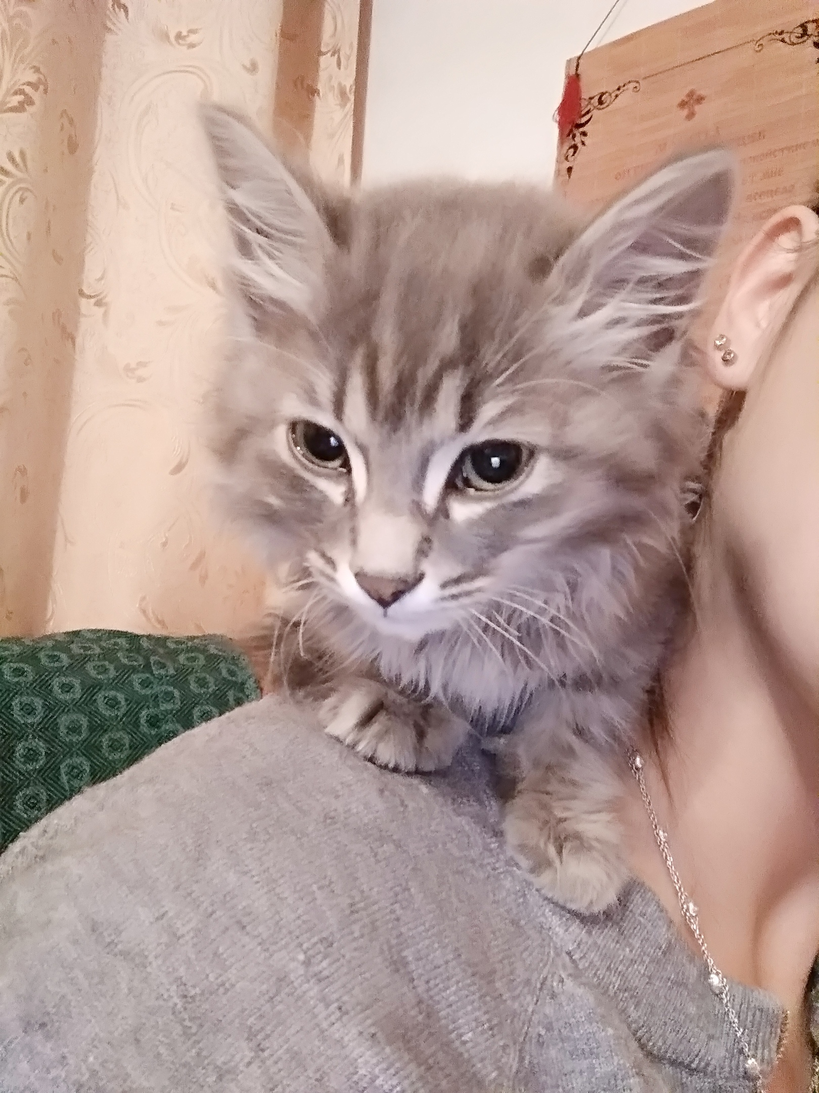 Добрый вечер.