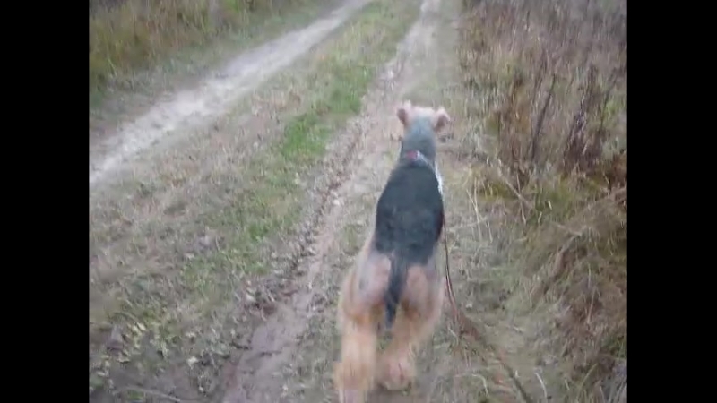 Добытчик.