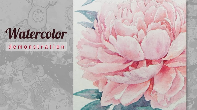 Peony Watercolor. Speed Painting