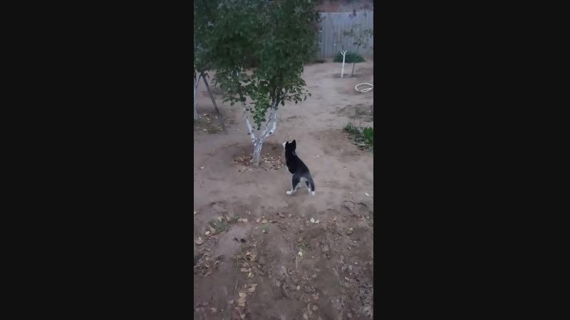 20181025_174659.mp4