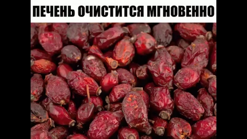 Шиповник