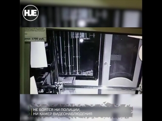 В Краснодаре орудует наглая банда: обокрали уже 35 магазинов
