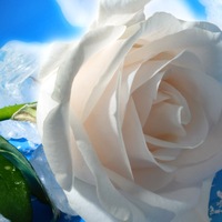 Екатерина Надежкина | Саров