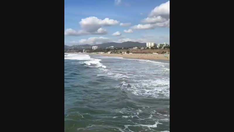 VID_37350617_064016_728.mp4
