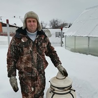 Алексей Василевский | Пермь