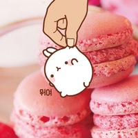 Настя Самохина | Михайловск