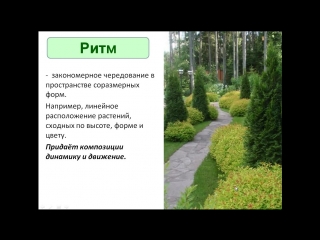День 4. Цветочный марафон
