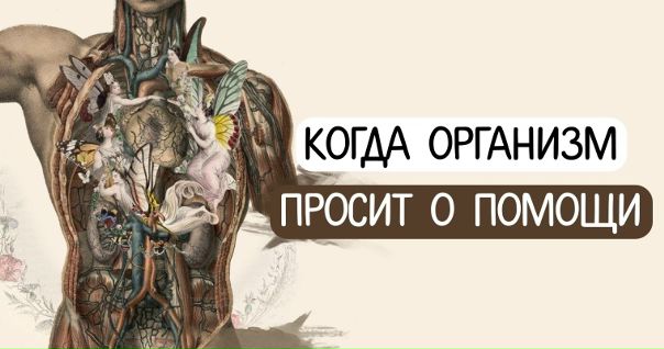 Kогдa оргaнизм просит о помощи: 15 вaжныx сигнaлов 