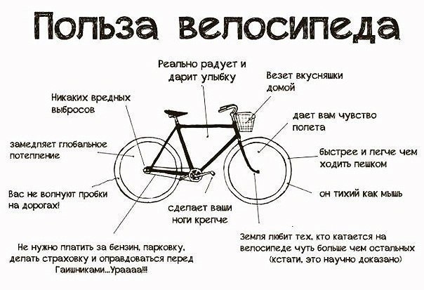 польза велосипеда в городской жизни и путешествиях на природе