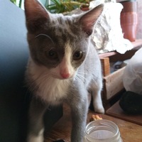 Кристина Агафонова | Сургут