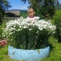 Елена Чегаева | 