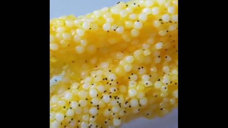 Satisfying._slimeyBgpXoIaBVRz.mp4