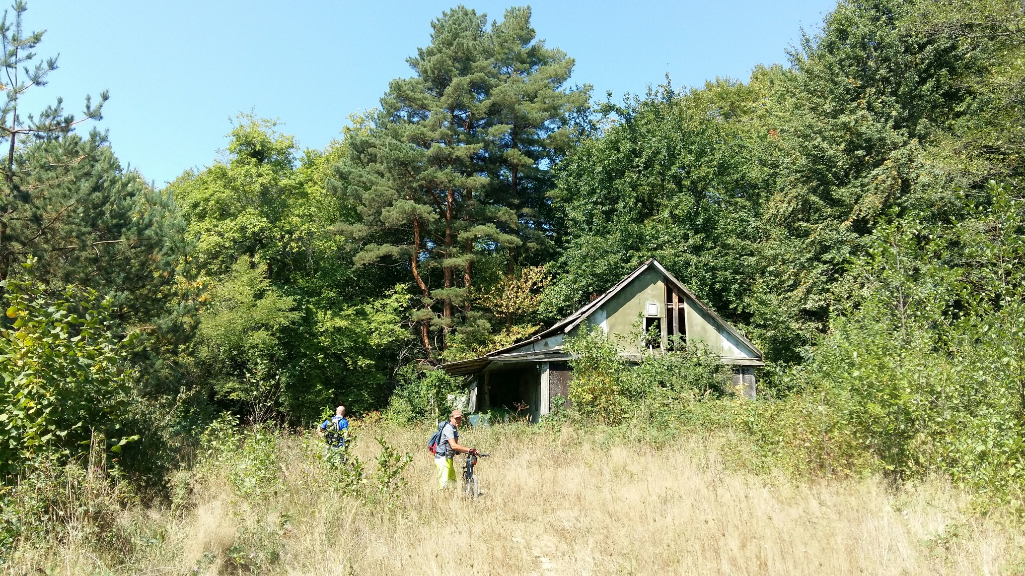 https://pp.userapi.com/c844723/v844723002/d53e6/zOXpZSwoTiM.jpg