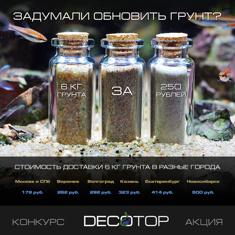 Картинка с форума