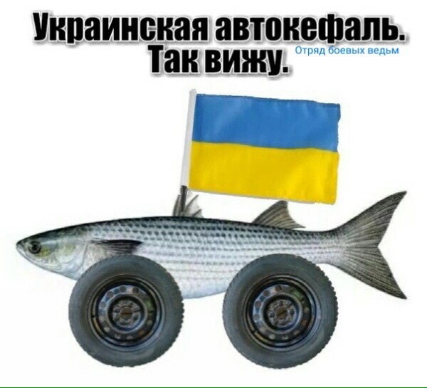 https://pp.userapi.com/c844723/v844723118/174908/zlSzAK8whGU.jpg