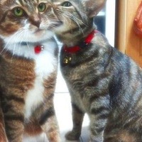 Юля Марченко | Бийск