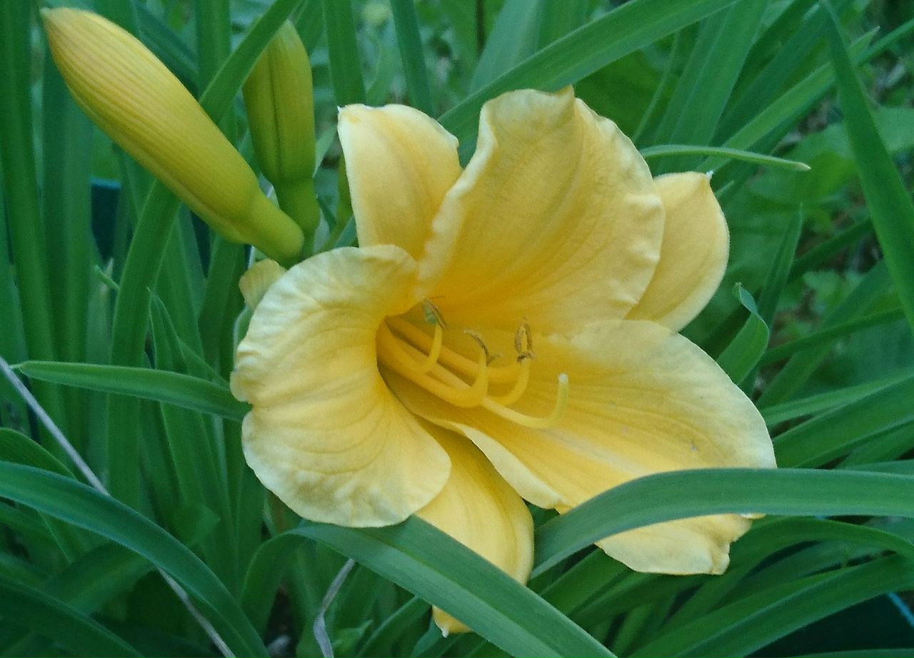 Кафе "У пани Сони"