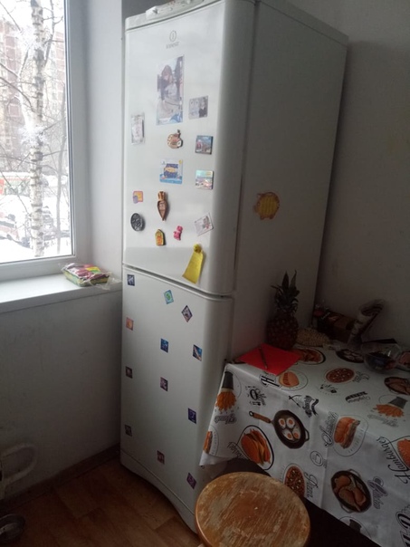 Фото: М.Медведково<br>12 мин пешком<br>Для 1девушки, проживание без хозяев, соседки 2 девушки<br>15000 счётчики оплачивать НЕ НУЖНО<br>Залог СИМВОЛИЧЕСКИЙ 3т.<br>89250000187