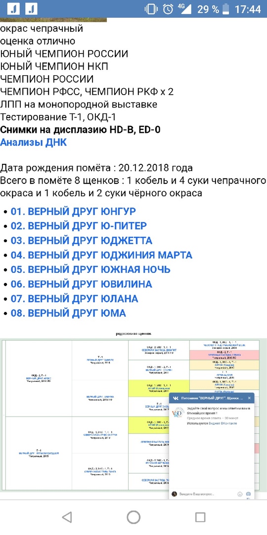Кошки в нашей жизни. Кошки и все, что с ними связано.