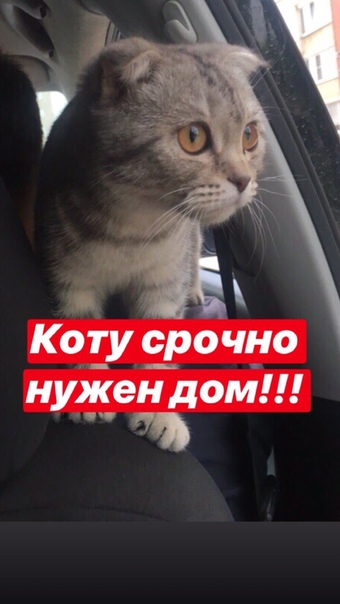 На одном из предприятий города появился вот такой красивый к