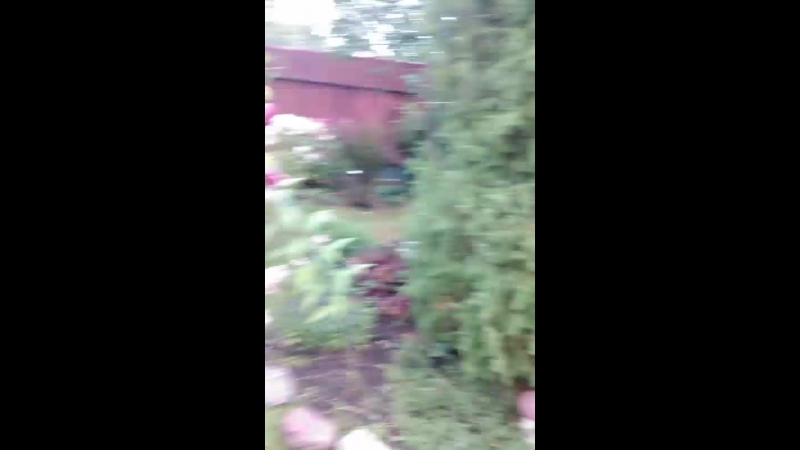 🐶🐱🐕🐈🐨🐯🐻🐸🐮🐅🐷🐖🐽🐑🐧🐵🐰🐇🐇🐗🐲🐺🐼🐭🐒