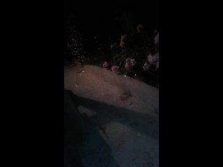 TEMP_TRIM_1529469318397.mp4