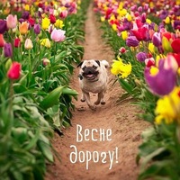 Екатерина Пронина | Армавир