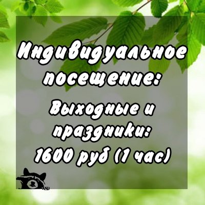 ИНДИВИДУАЛЬНОЕ ПОСЕЩЕНИЕ (выходные и праздничные дни, на 2 чел)