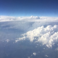 Алексей Тимохин | Тула