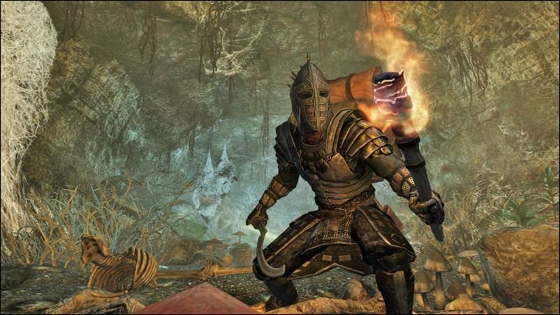 Дата выхода игры «The Elder Scrolls 6: Argonia»&nbsp;еще не назначена. Релиз игры состояться&nbsp;примерно летом 2018 года