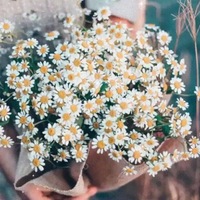 Виктория Полищук | Запорожье