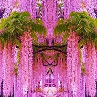 Виктория Воробьёва | Краснодар