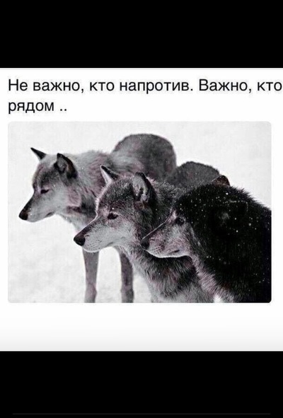porno-foto-almashanovoy-kamili