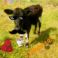 Глеб Фёдоров | Москва