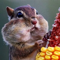 Егор Уколов | Белгород