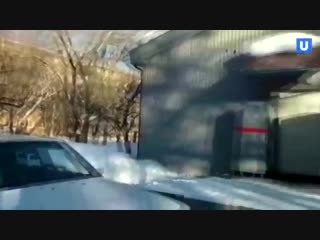 В Каменске-Уральском пенсионеры ходят за продуктами на мусорку рядом с супермаркетом.