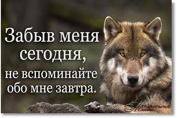 Картинка не забывай обо мне