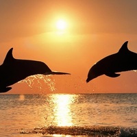 Ксения Самойлова | Москва