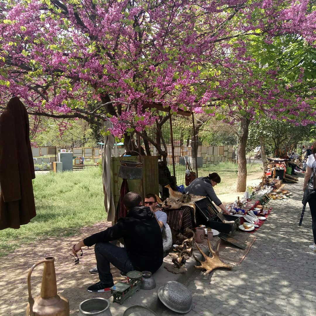 Грузия, прекрасная и неповторимая (апрель 2018) Грузия, прекрасная и неповторимая (апрель 2018)