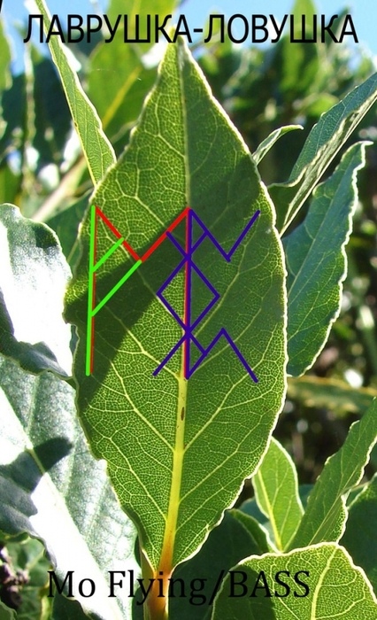 https://pp.userapi.com/c845016/v845016034/16e4de/lJALA_sBKc4.jpg