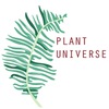 Комнатные растения купить СПб | PLANT UNIVERSE